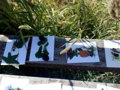 IMG_20190914_105310.jpg